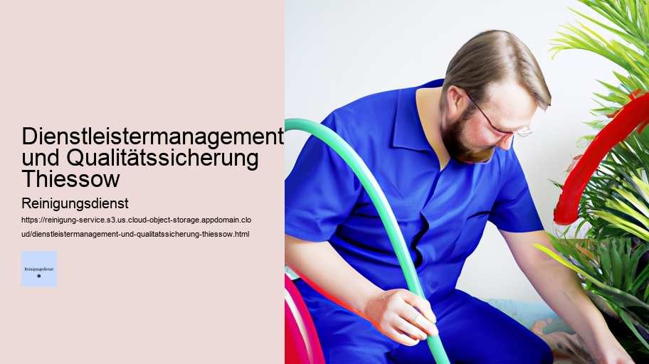 Dienstleistermanagement und Qualitätssicherung Thiessow